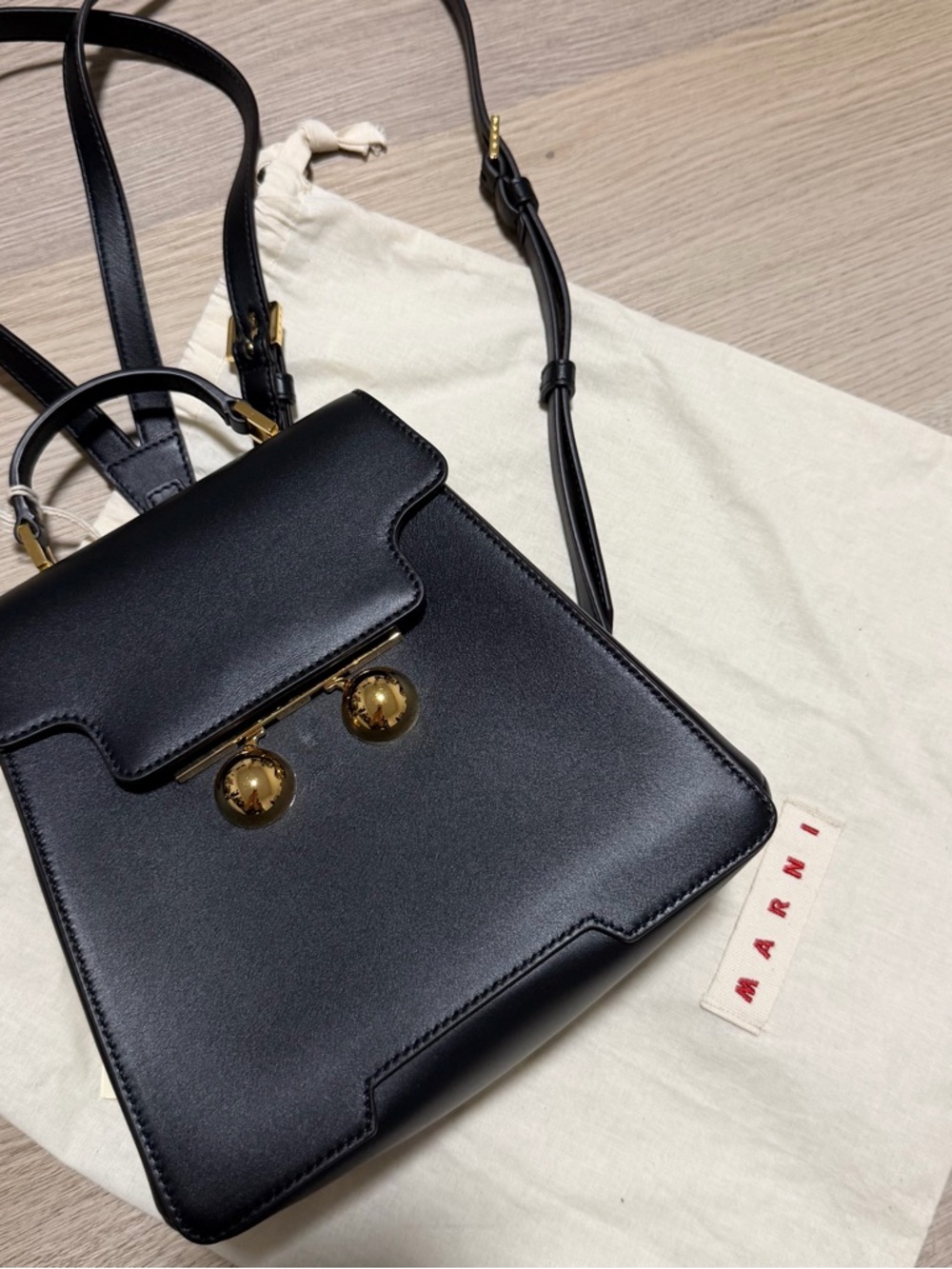 Marni Black Trunkaroo Leather Mini Backpack with Gold Hardware